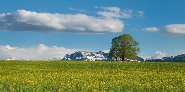 Helles Pilates-Studio mit Matten und Geräten